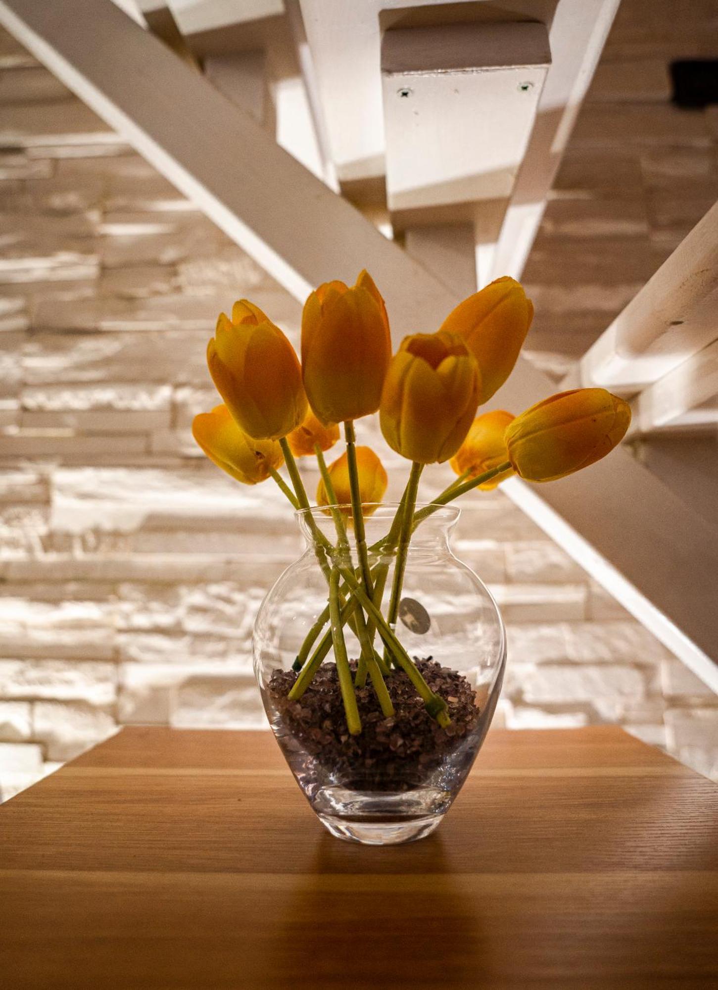 My Cozy Home برينديسي المظهر الخارجي الصورة
